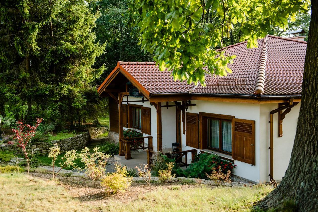 Palac Czarny Las Wozniki Exterior photo